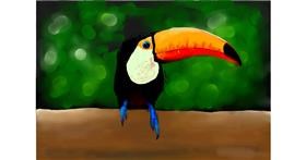 Drawing of Toucan by Dada
