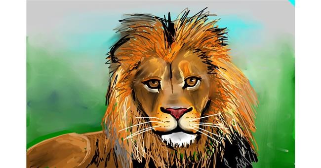 Drawing of Lion by Rose rocket