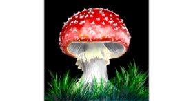 Gljiva - autor: ⋆su⋆vinci彡