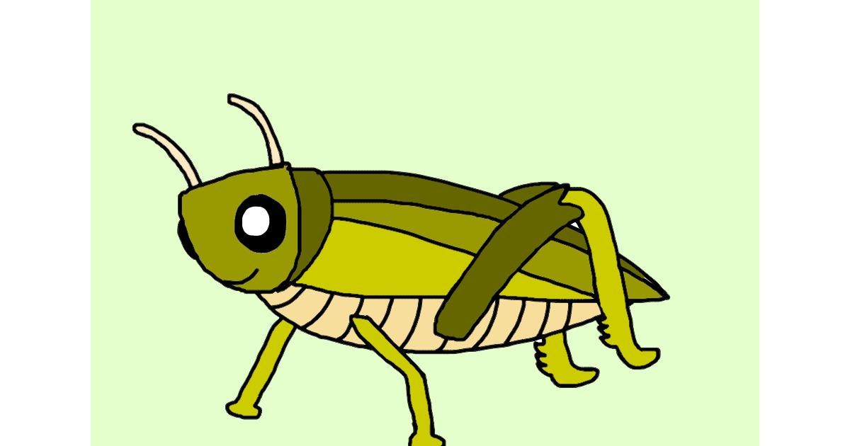 Drawing of Grasshopper by Lucy