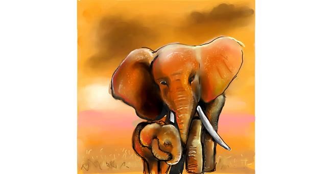 Drawing of Elephant by Leah