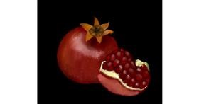 Drawing of Pomegranate by Lou