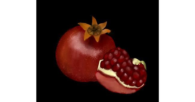 Drawing of Pomegranate by Lou