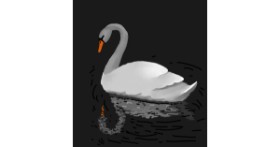 Drawing of Swan by Joze