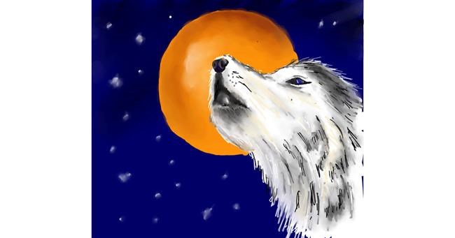 Drawing of Wolf by JSim