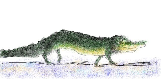 Alligator-Zeichnung von Karlin
