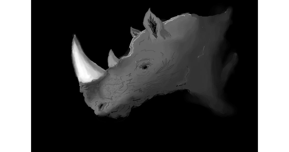 Drawing of Rhino by Stegosaurus