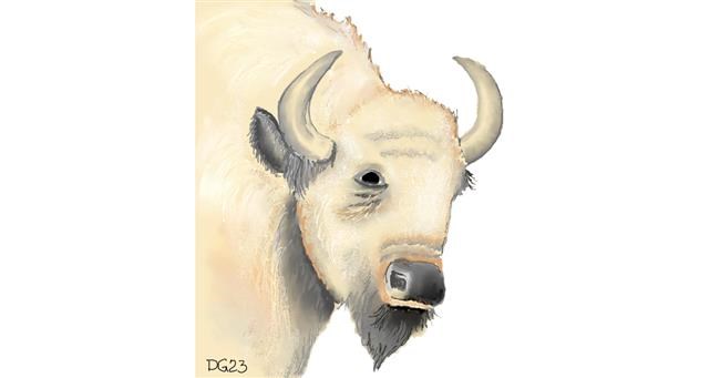 Bison-Zeichnung von GreyhoundMama