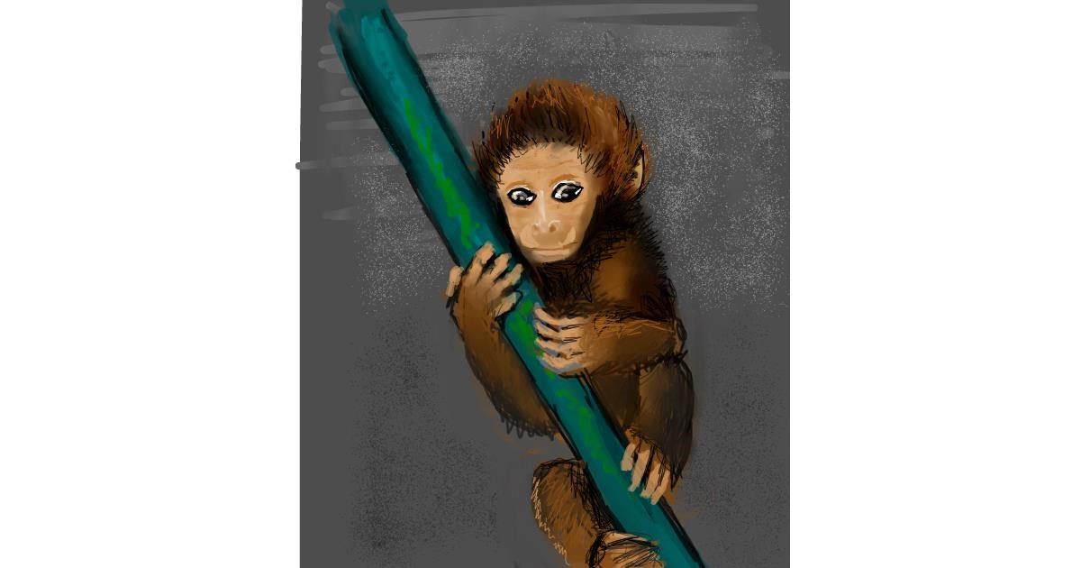 Drawing of Monkey by Mea