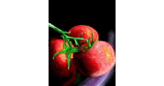 Drawing of Tomato by Walter nonwhite