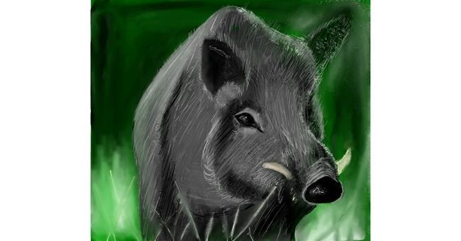 Drawing of Wild boar by Lou