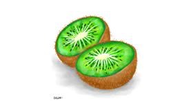Drawing of Kiwi fruit by GreyhoundMama
