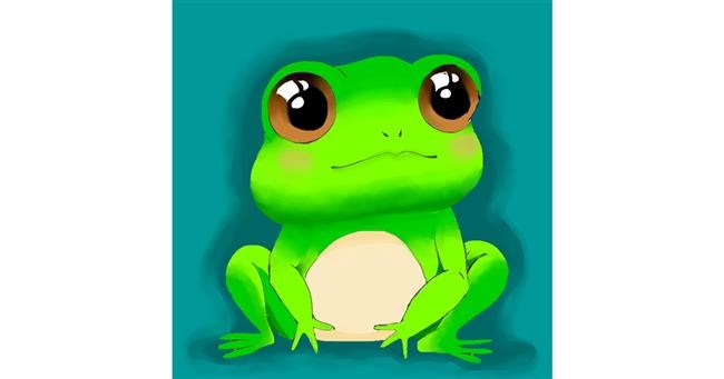 Drawing of Frog by Kunal