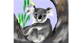 Drawing of Koala by Cec