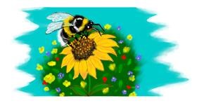 Hummel-Zeichnung von justme❤️