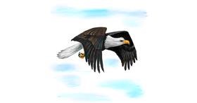 Drawing of Eagle by Andromeda