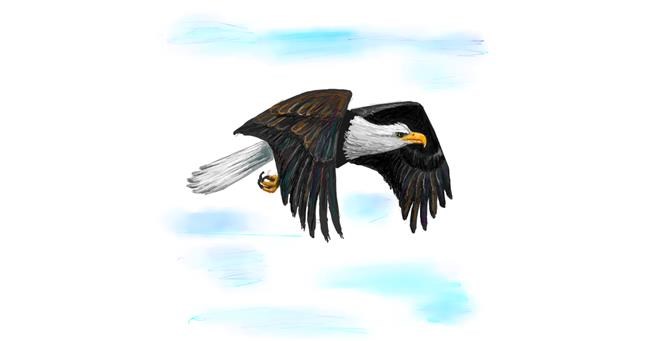 Drawing of Eagle by Andromeda