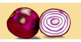 Drawing of Onion by Kim