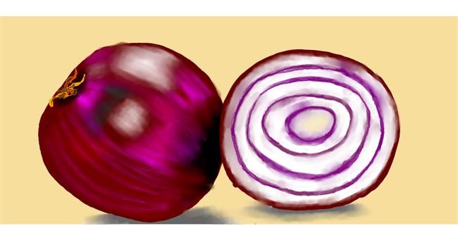 Drawing of Onion by Kim
