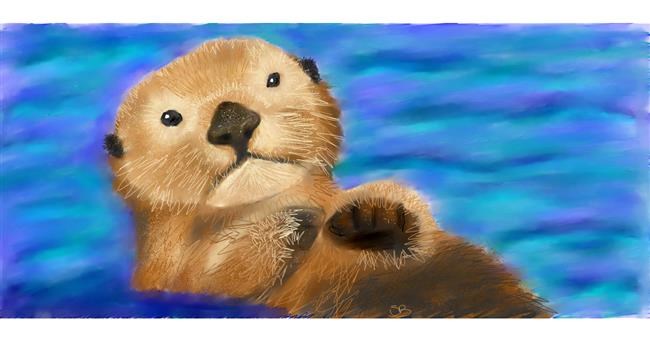 Otter-Zeichnung von Sara