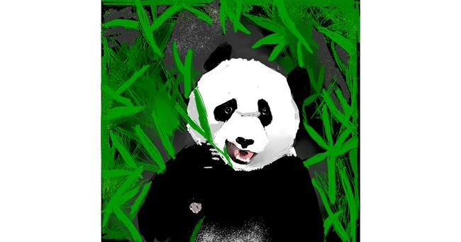 Drawing of Panda by Clar