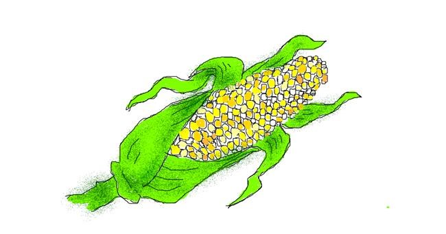 Drawing of Corn by Chloe