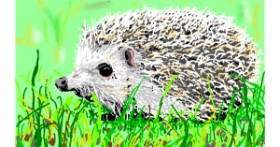 Drawing of Hedgehog by Flowerpot