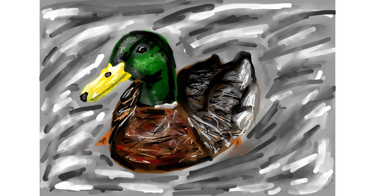 Drawing of Duck by Soaring Sunshine