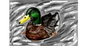 Drawing of Duck by Mia