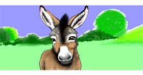 Drawing of Donkey by Sumafela