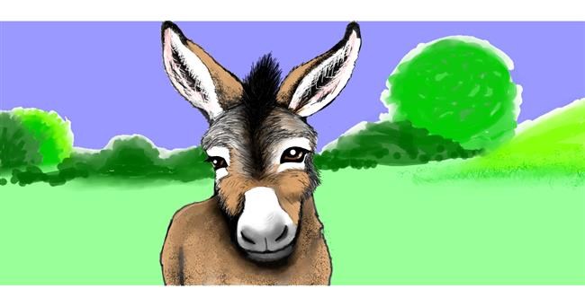 Drawing of Donkey by Sumafela