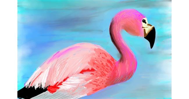Drawing of Flamingo by Rak