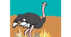 Drawing of Ostrich by Vicki