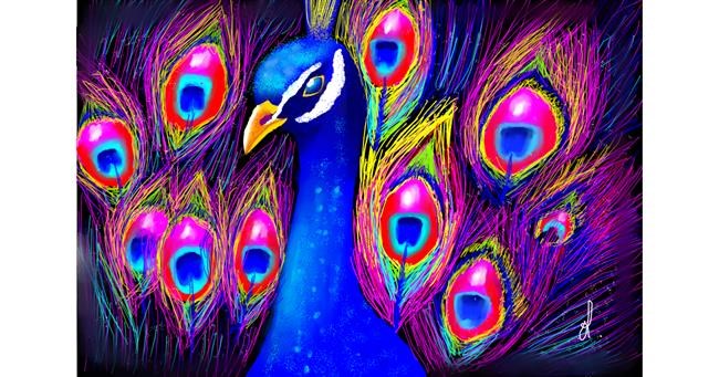 Drawing of Peacock by OLGI 🌺