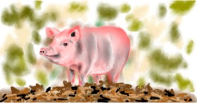 Drawing of Pig by Eclat de Lune