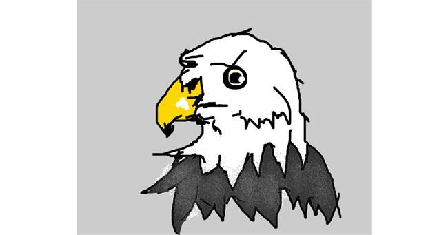 Drawing of Eagle by Lori
