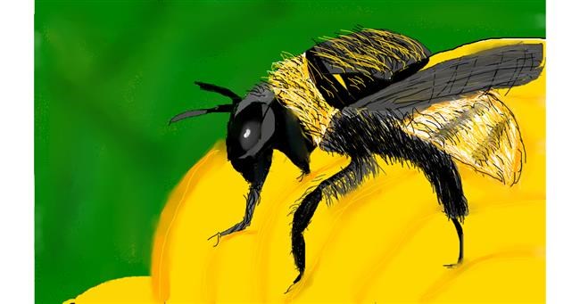 Drawing of Bumblebee by Vinay Tanakala
