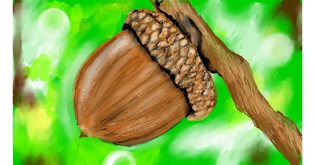 Drawing of Acorn by SAM AKA MARGARET 🙄