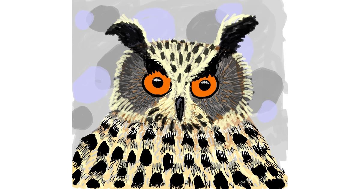 Drawing of Owl by Thomas