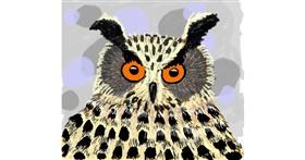 Drawing of Owl by Thomas