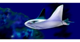 Drawing of Stingray by Çhåching