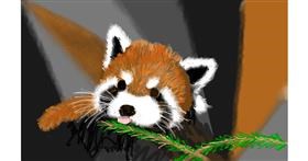 Drawing of Red Panda by SAM AKA MARGARET 🙄