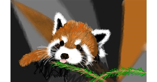 Drawing of Red Panda by SAM AKA MARGARET 🙄