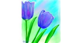Tulipani - autor: GreyhoundMama