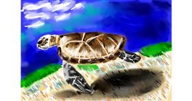 Drawing of Sea turtle by Soaring Sunshine