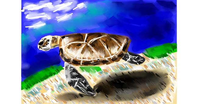 Drawing of Sea turtle by Mia