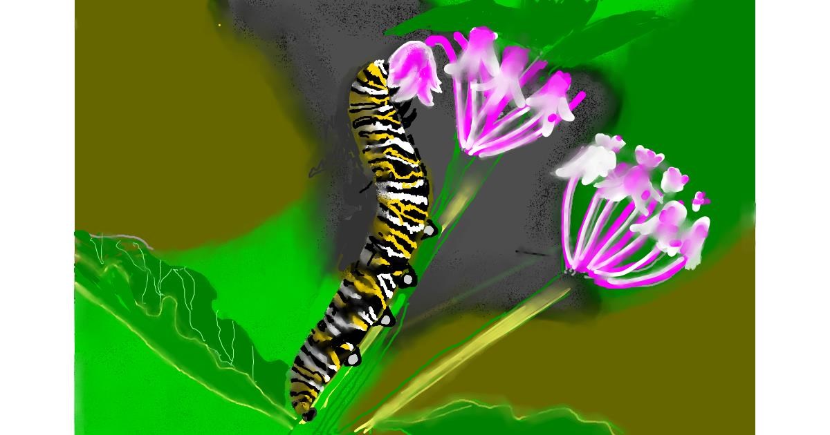 Drawing of Caterpillar by SAM AKA MARGARET 🙄