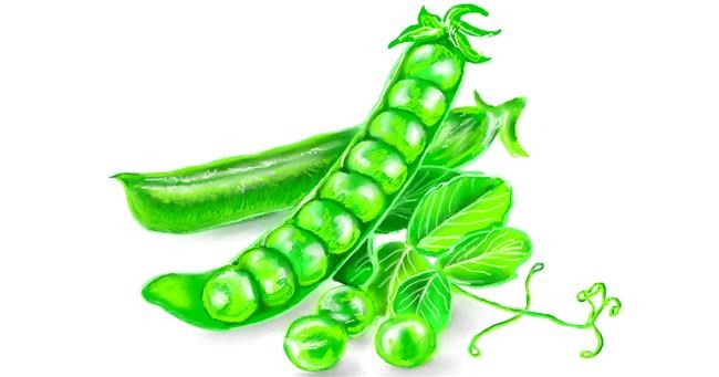 Drawing of Peas by ⋆su⋆vinci彡