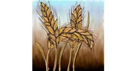 Drawing of Wheat by Shiney🪶
