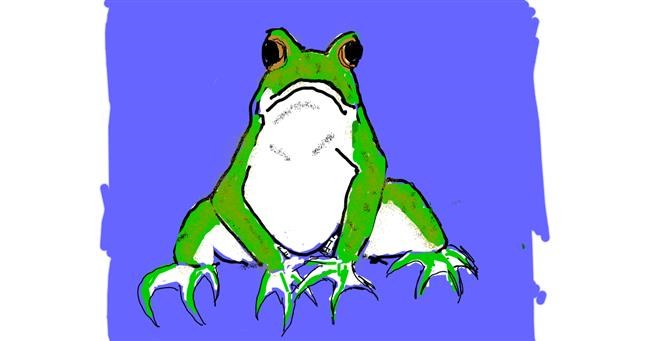 Drawing of Frog by Cherri